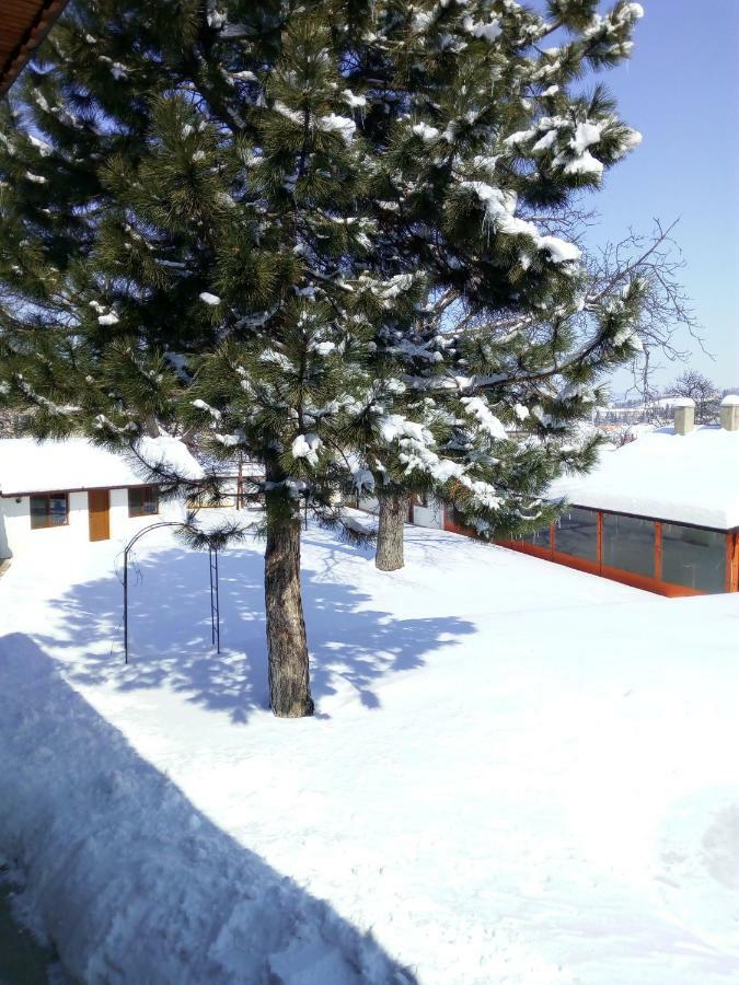 Bolyarski Stan Guest House Veliki Preszlav Kültér fotó